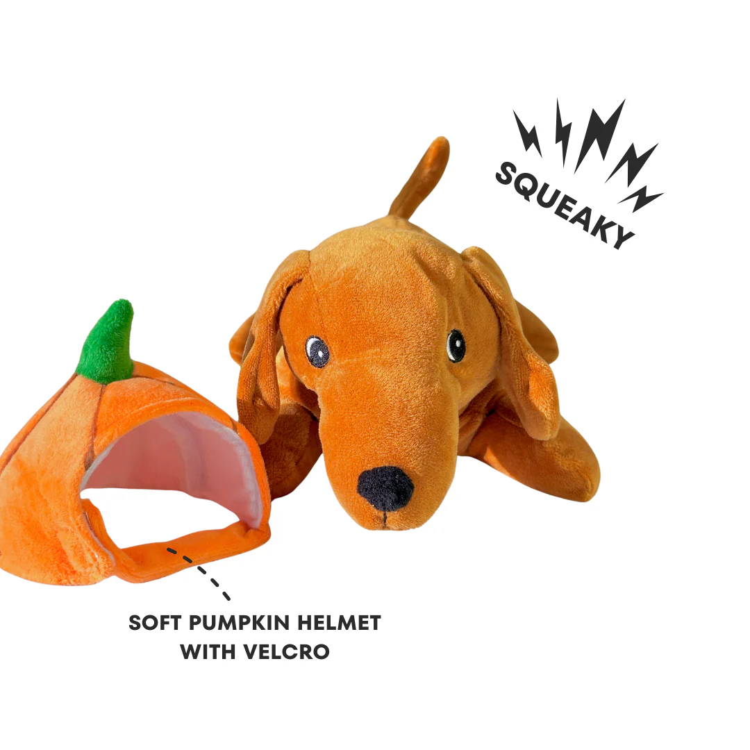 Kinda Punny - Pet's Shop