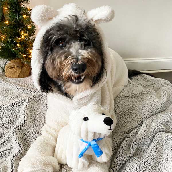 Happy Holiday Polar Bear 14