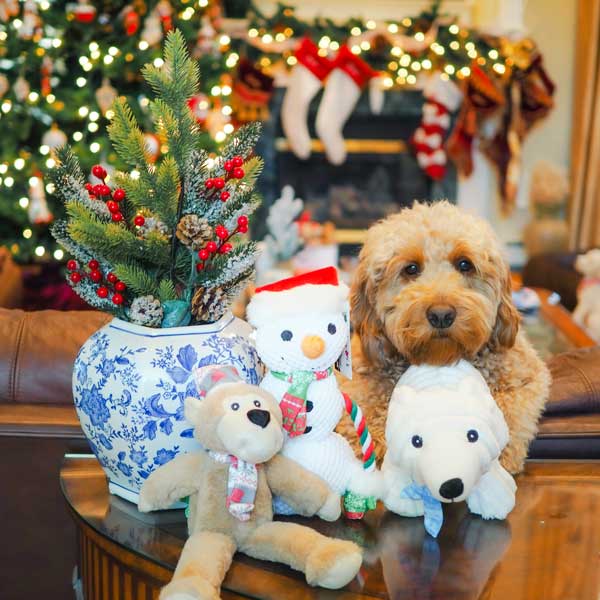 Happy Holiday Polar Bear 14