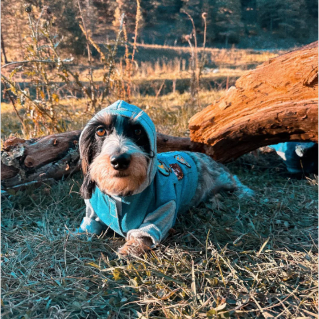 Camping with the Weens - Pet's Shop