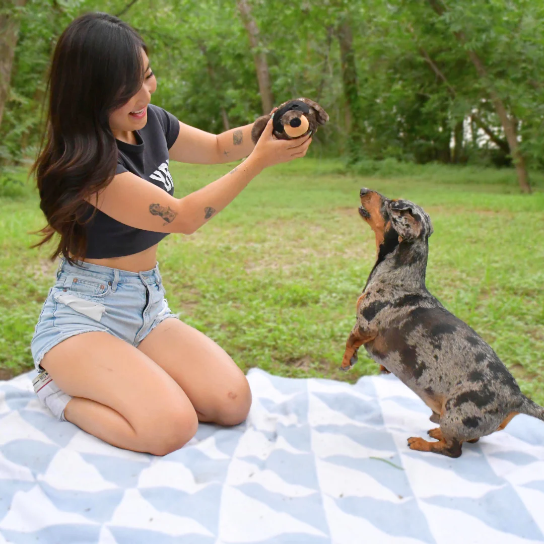 El Bandido - Pet's Shop