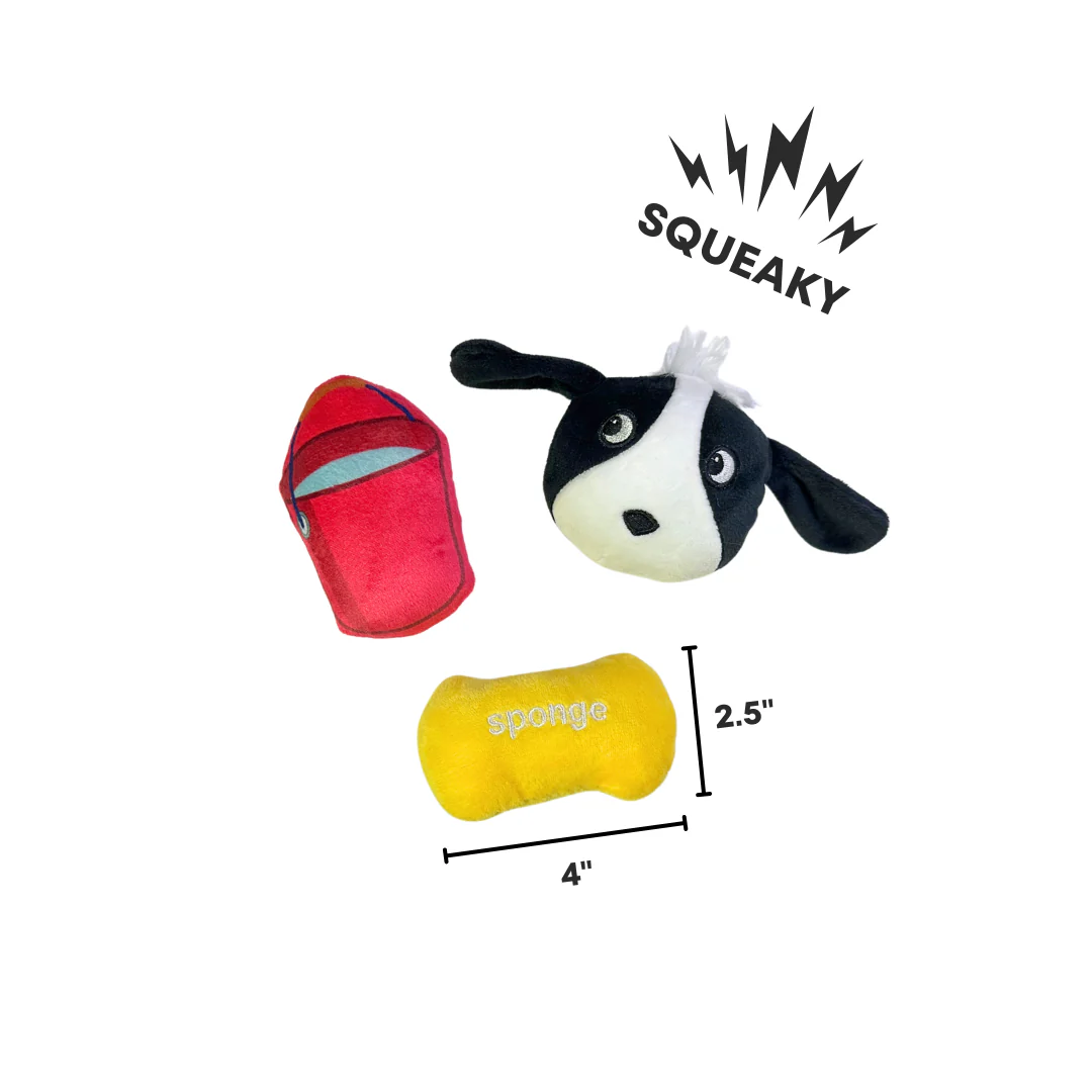 The Carwash Rave - Pet's Shop