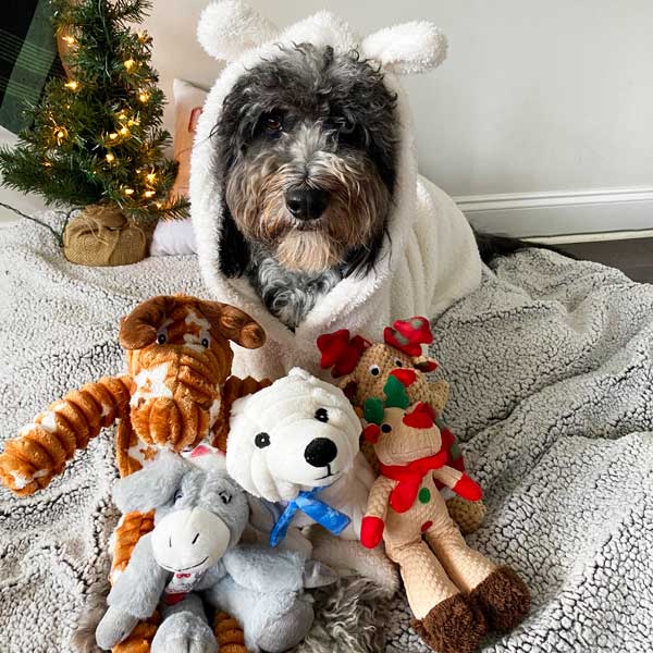 Happy Holiday Polar Bear 14