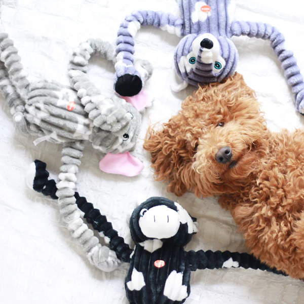 Winter Wolf - Pet's Shop