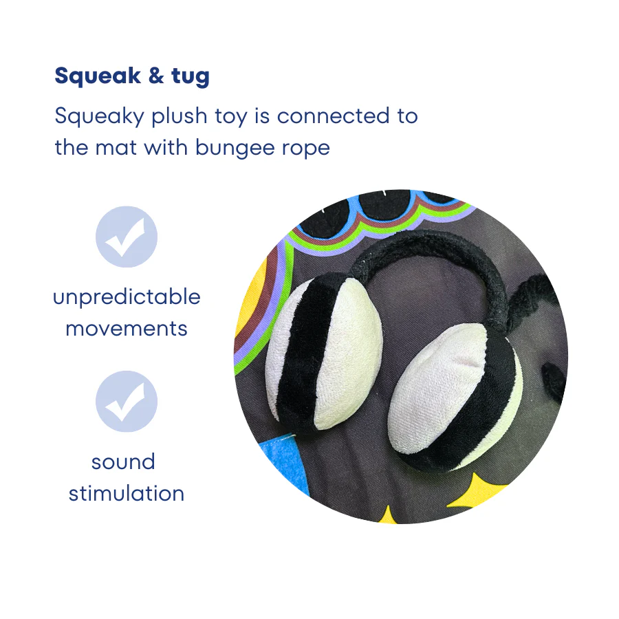 DJ Party Time Playmat - Pet's Shop