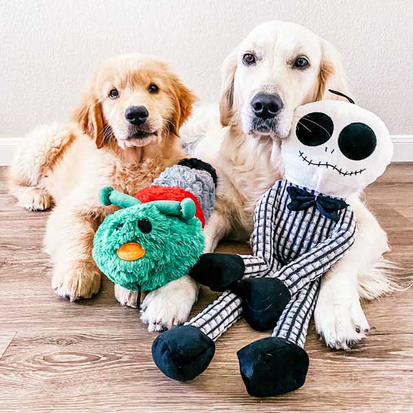 Fall Caterpillar - Pet's Shop