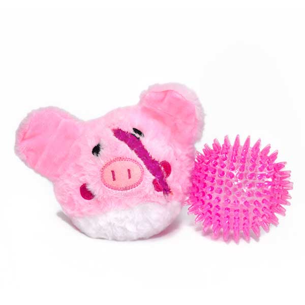 Pricklet Pig 4