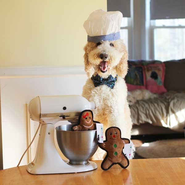 Flat Gingerbread Man - Pet's Shop