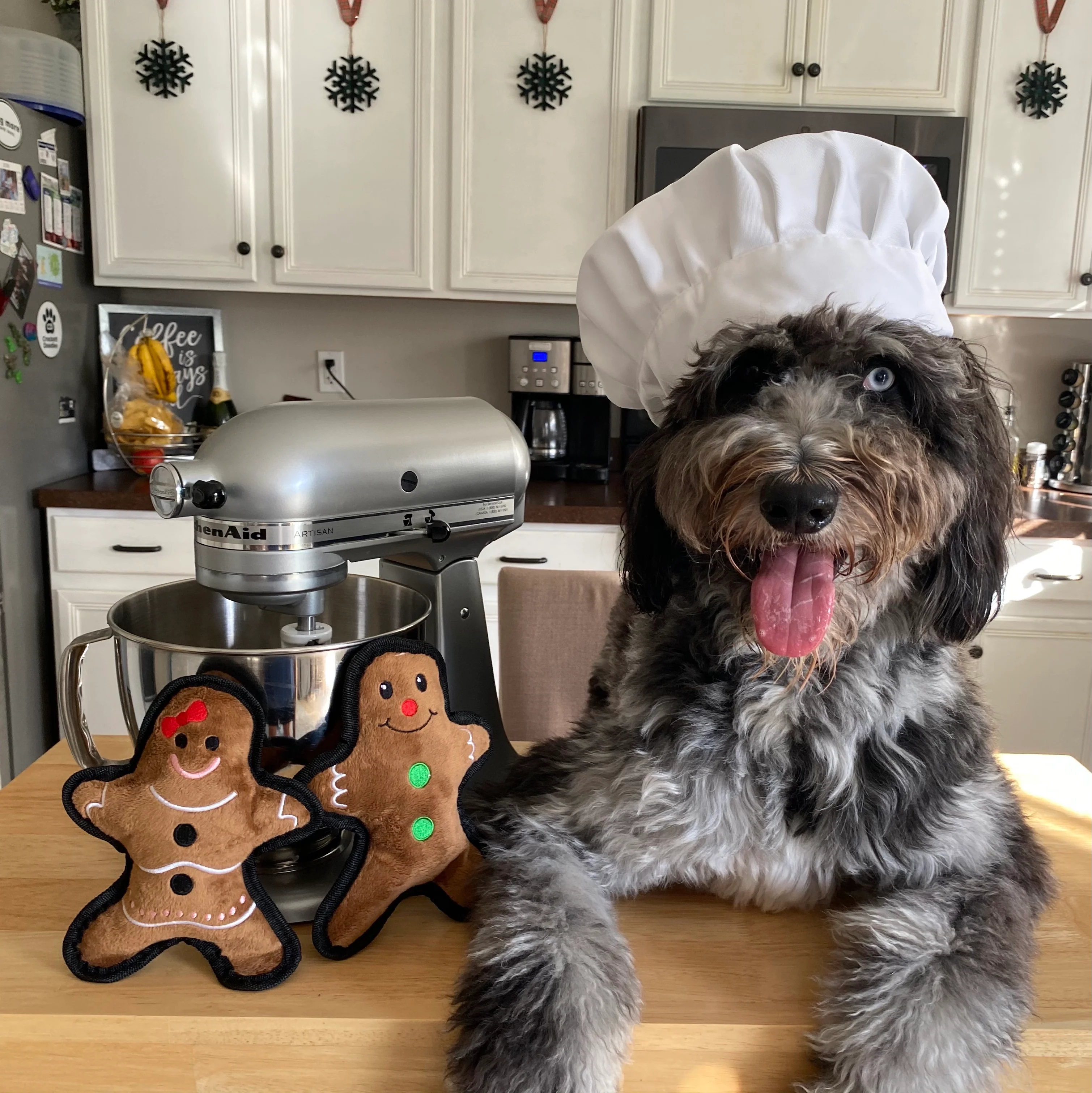 Flat Gingerbread Girl - Pet's Shop