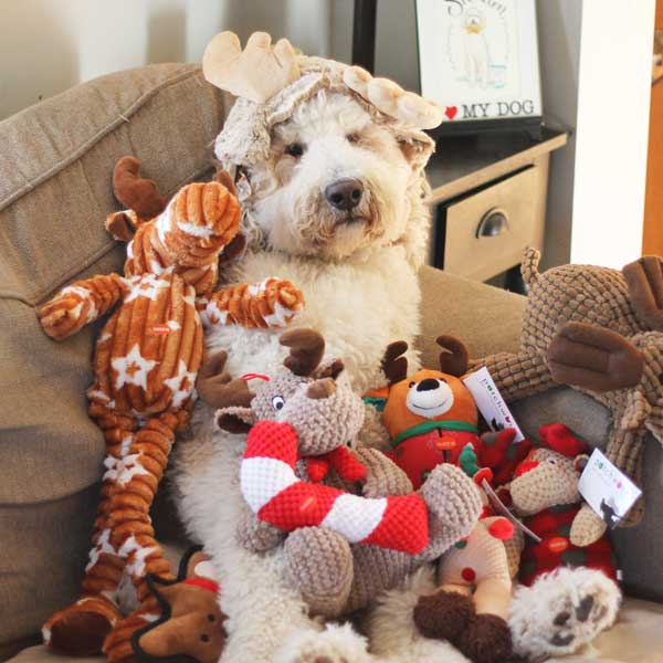 Playful Pair Reindeer - Pet's Shop