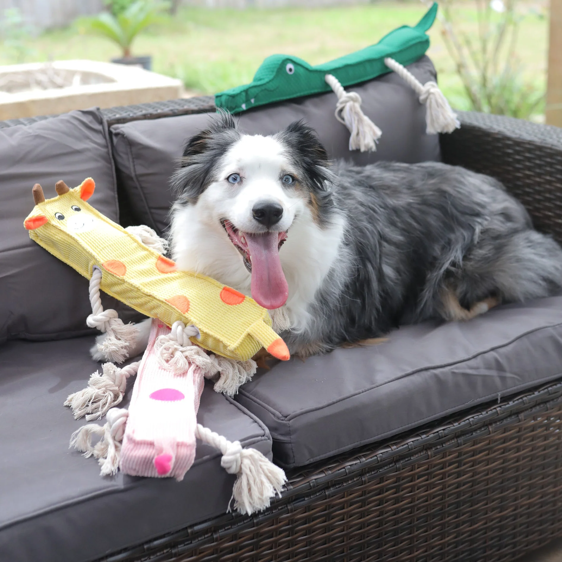 Alligator Stick - Pet's Shop