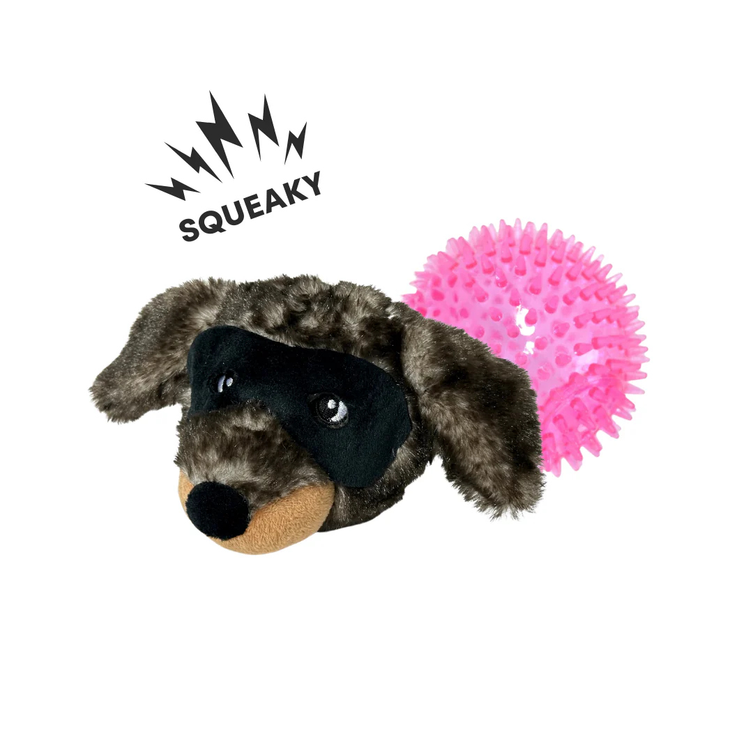 El Bandido - Pet's Shop