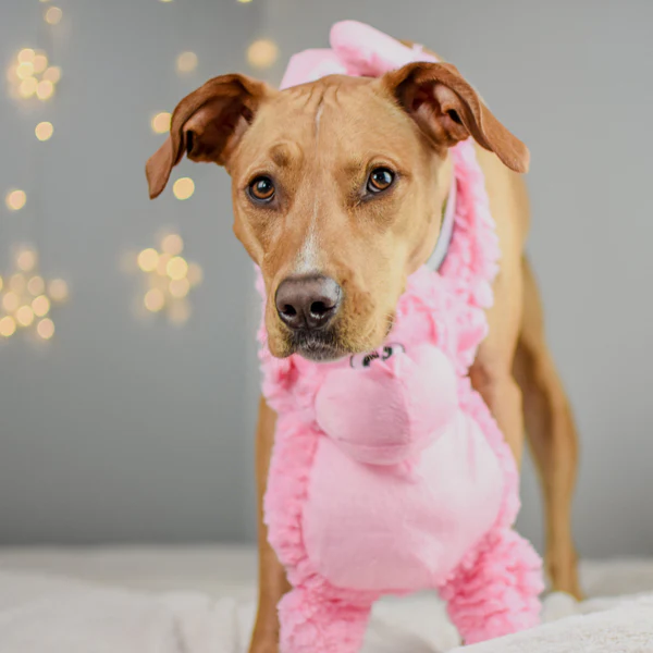 Pastel Gorilla - Pet's Shop