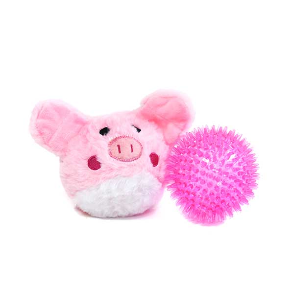 Pricklet Pig 4