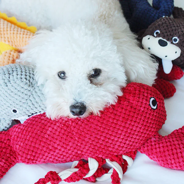 Lobster - Pet's Shop