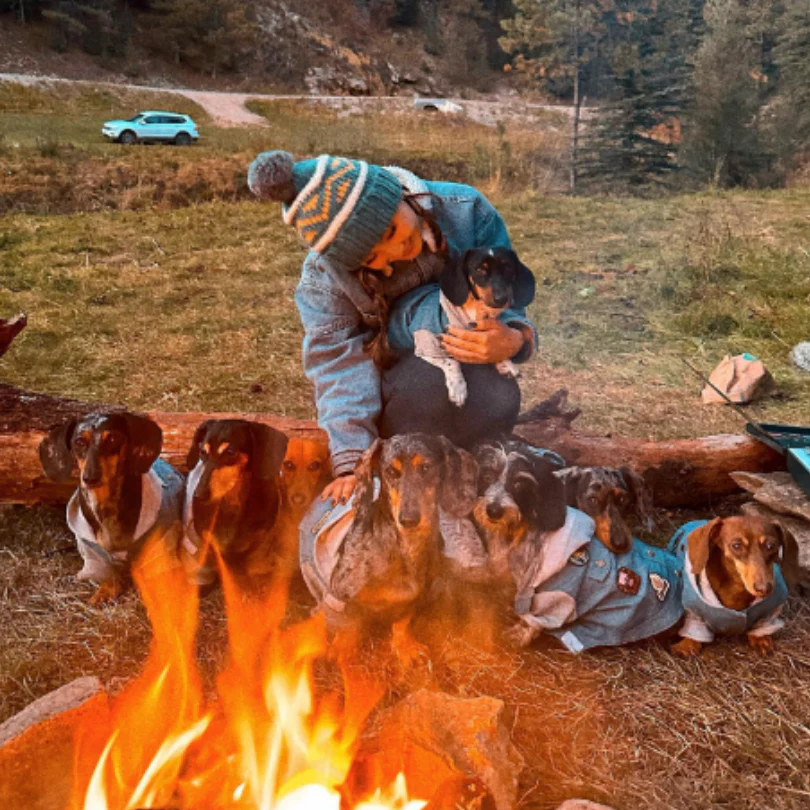 Camping with the Weens - Pet's Shop