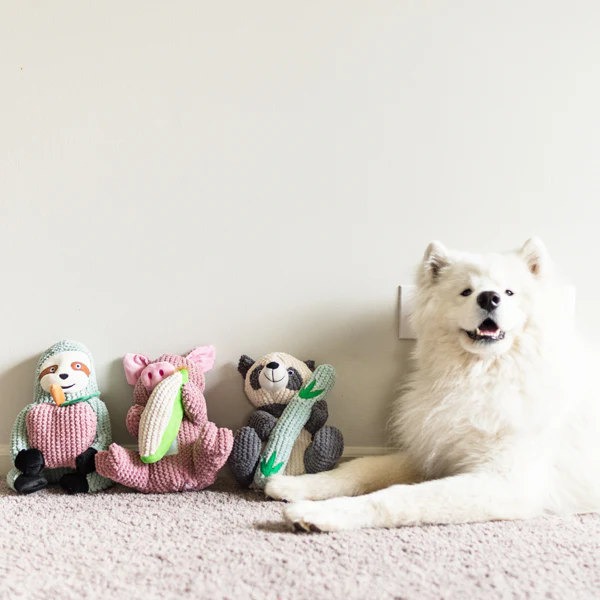 Maizey the Pig - Pet's Shop