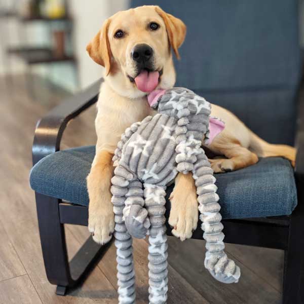 Ellie Elephant - Pet's Shop