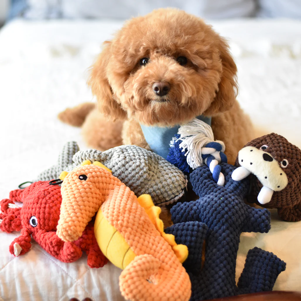 Interactive Dog Toys - Pet's Shop