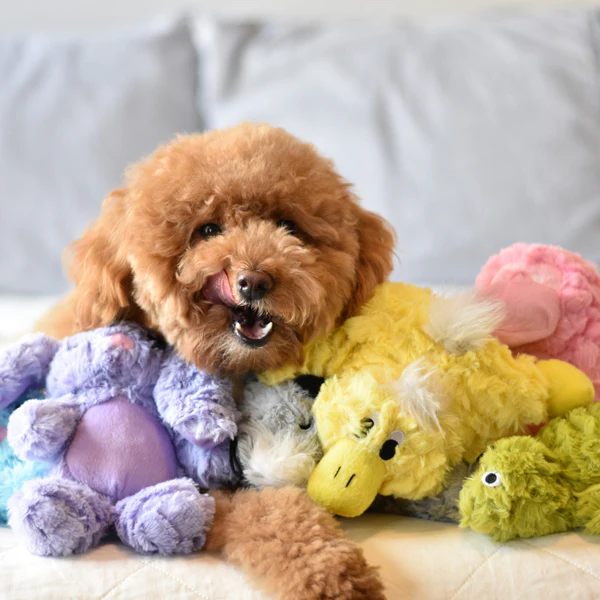 Pastel Platypus - Pet's Shop