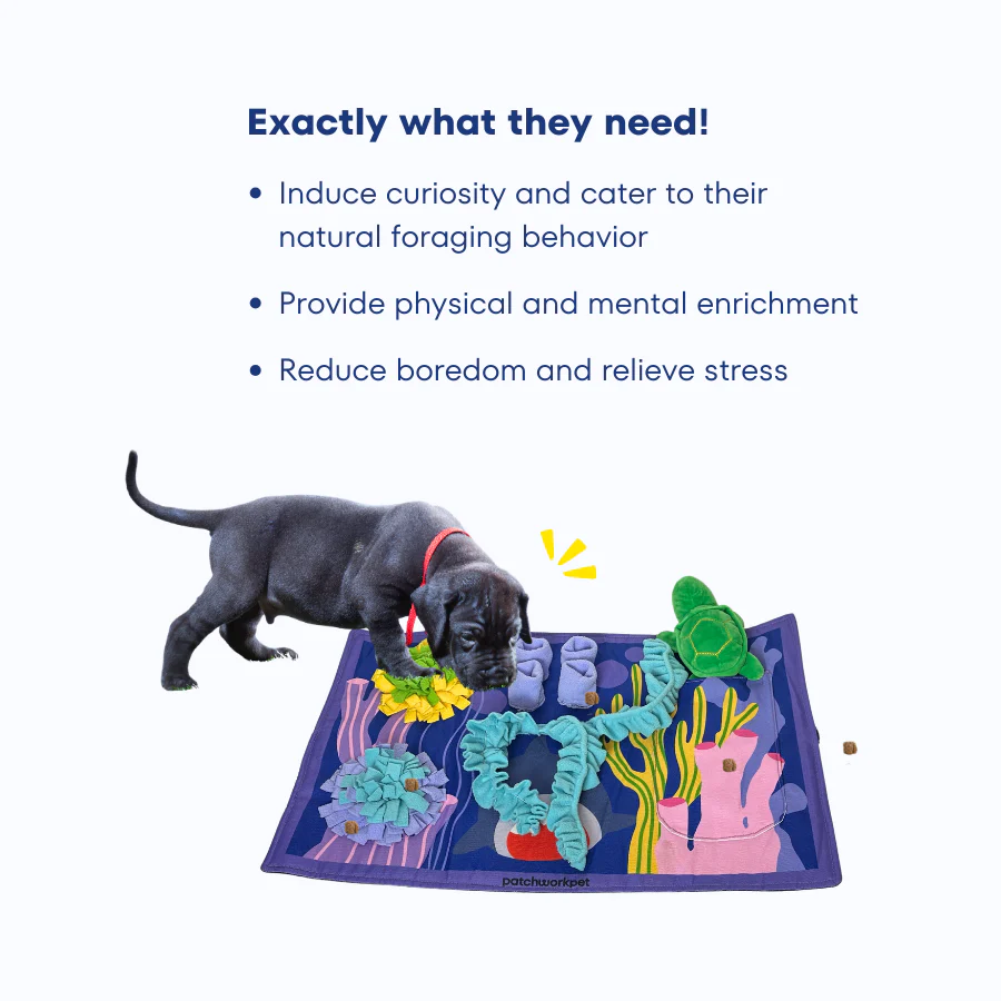 Tropical Reef Dive Playmat - Pet's Shop