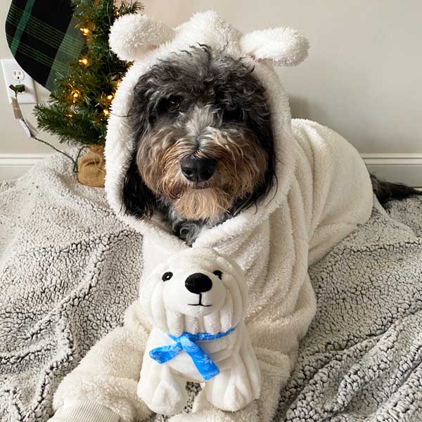 Happy Holiday Polar Bear 14