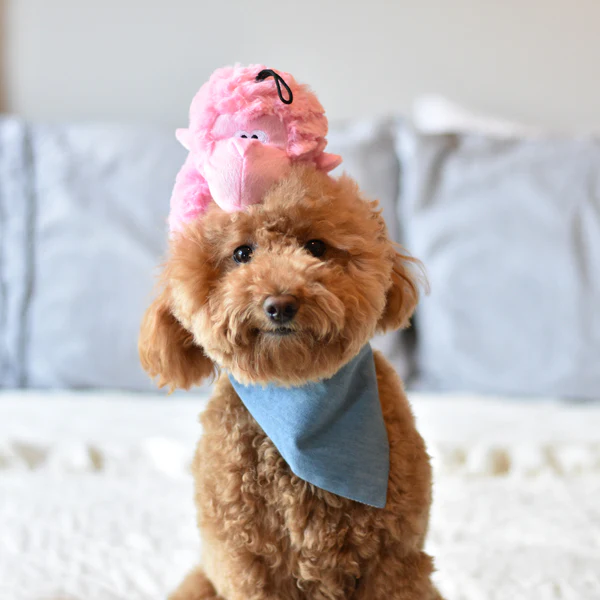 Pastel Gorilla - Pet's Shop