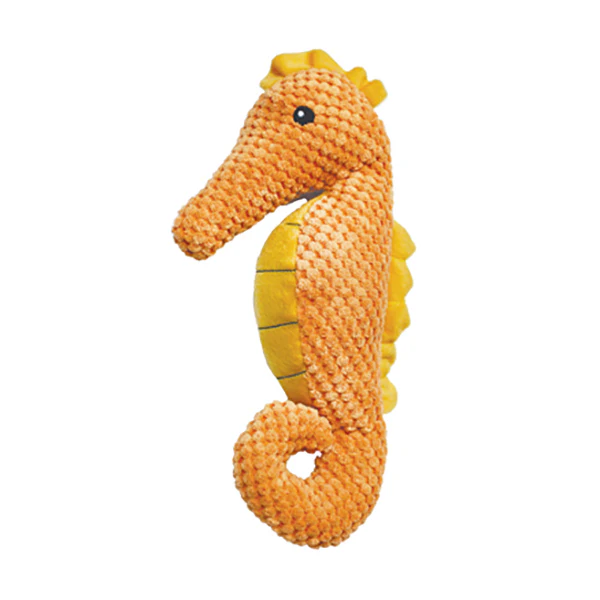Seahorse - Pet's Shop