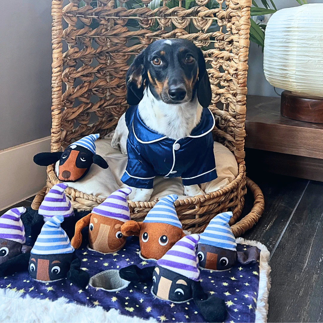 Counting Weens - Pet's Shop