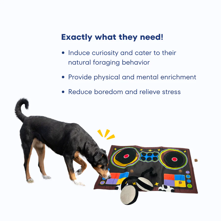 DJ Party Time Playmat - Pet's Shop