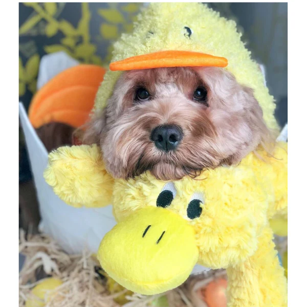 Pastel Platypus - Pet's Shop