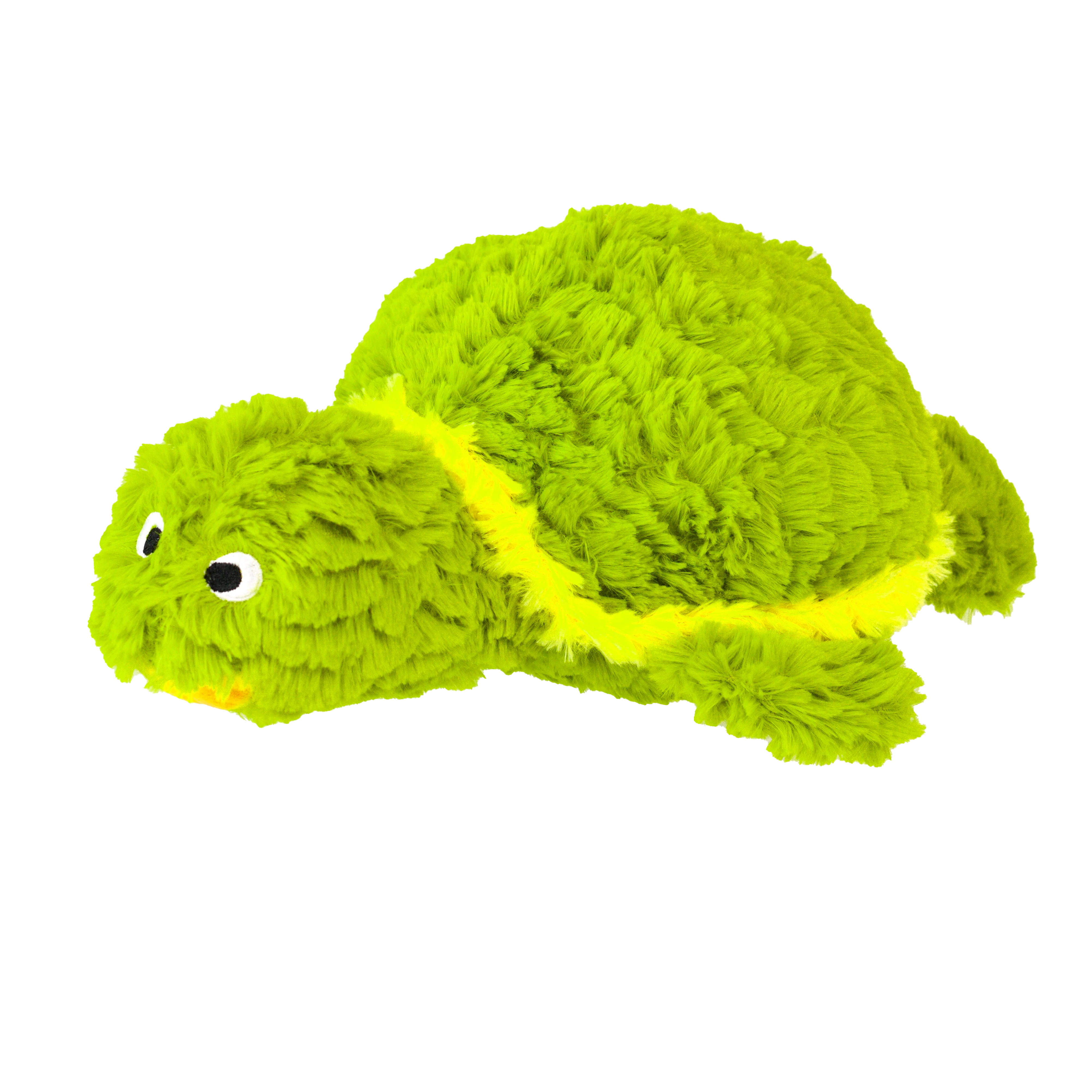 Tortoise - Pet's Shop