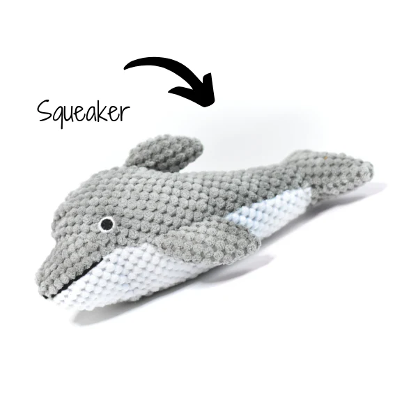 Dolphin - Pet's Shop