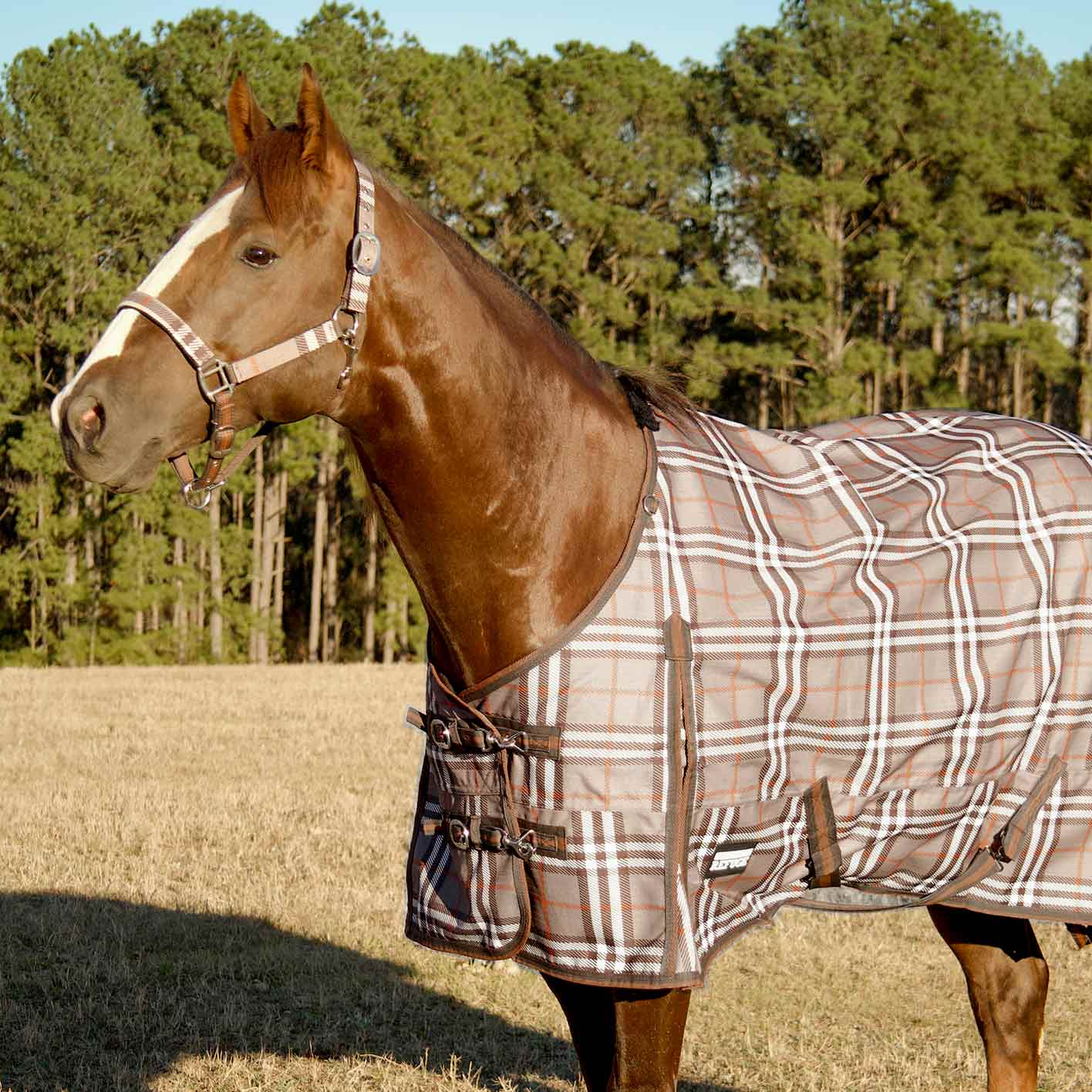Poplar Head Refuge 1200 Denier Turnout Blanket, 240 Gram, Plymouth Brown Plaid - Pet's Shop