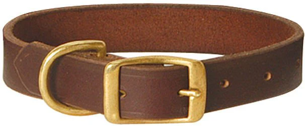 Flat Leather Dog Collar with Brass Hardware - Pet's Shop