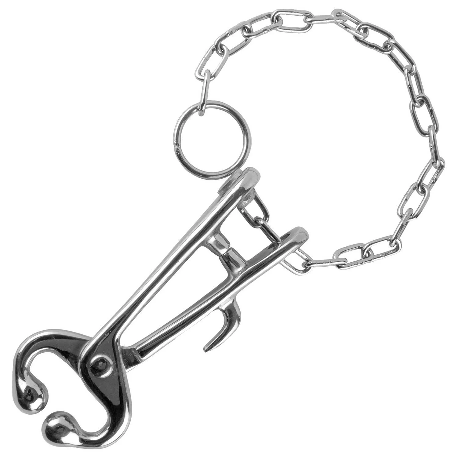 Bull Nose Lead (Cow Nose Pliers) with Chain - Pet's Shop