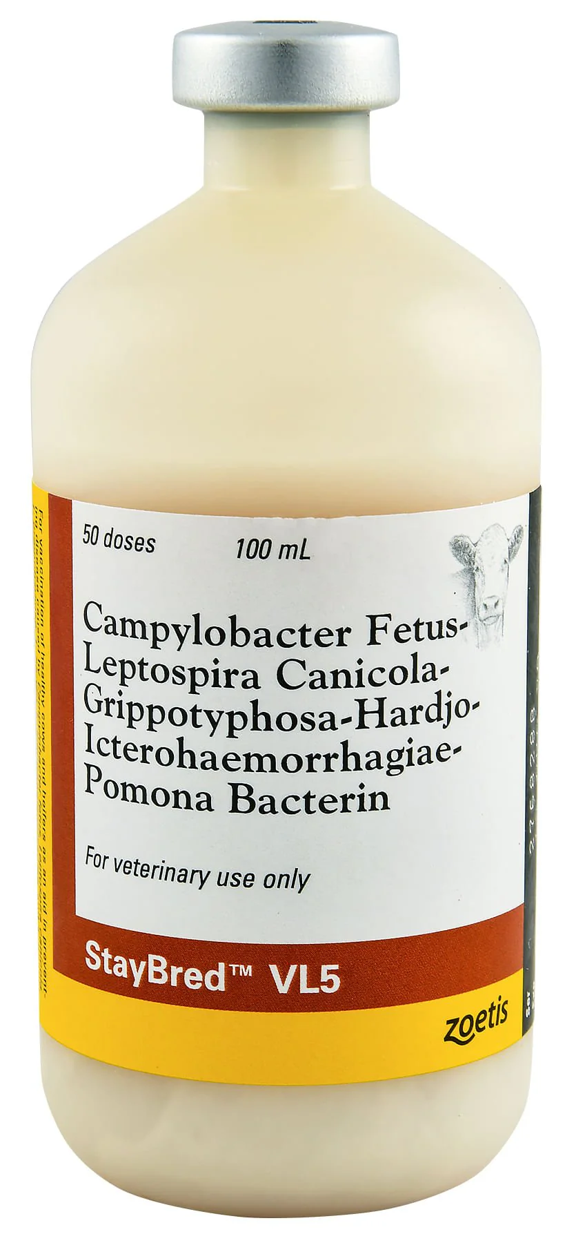 StayBred? VL5 - Pet's Shop