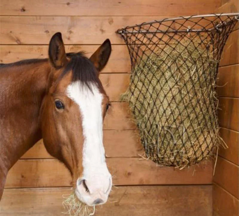Hay Chix Corner Feeder Hay Rack - Pet's Shop
