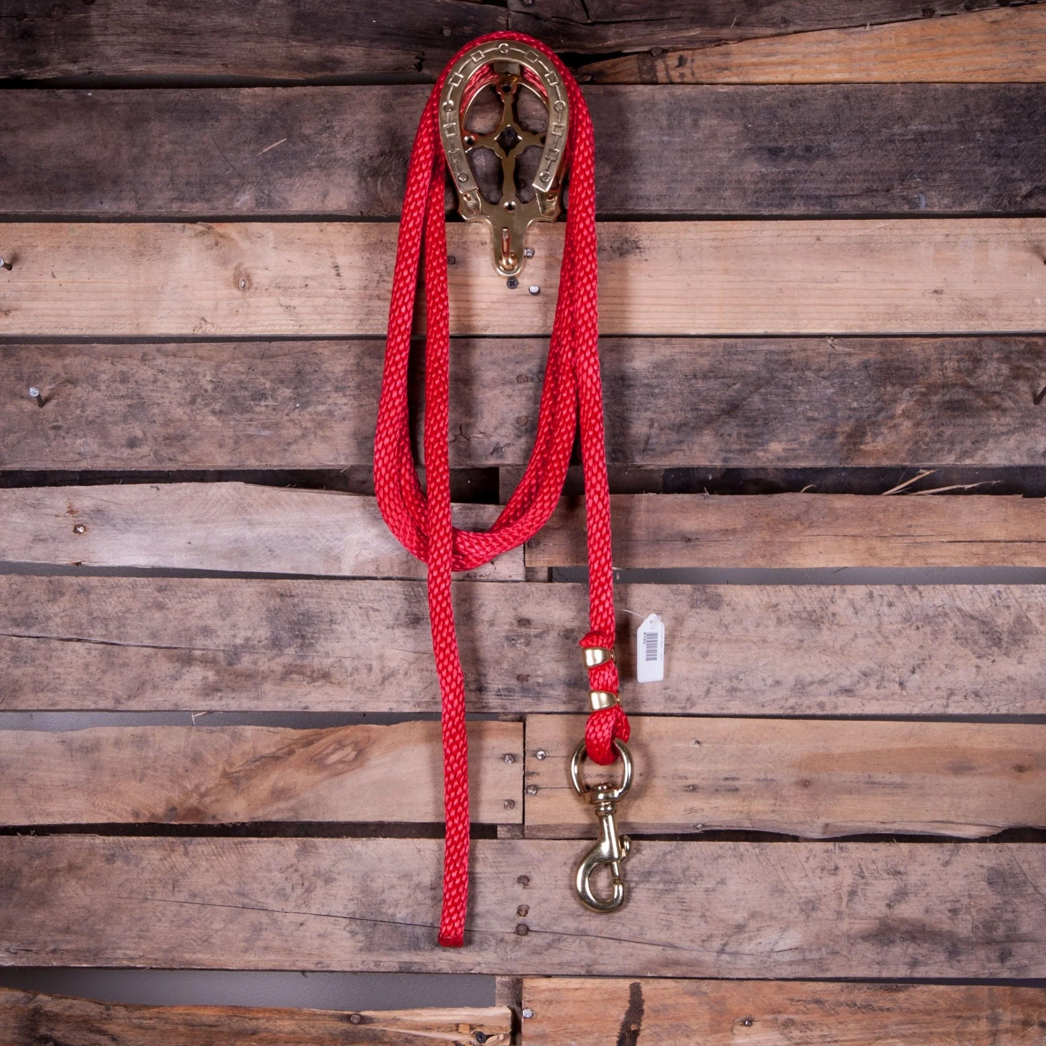 Poly Lead Rope with Bolt Snap, 10'L - Pet's Shop