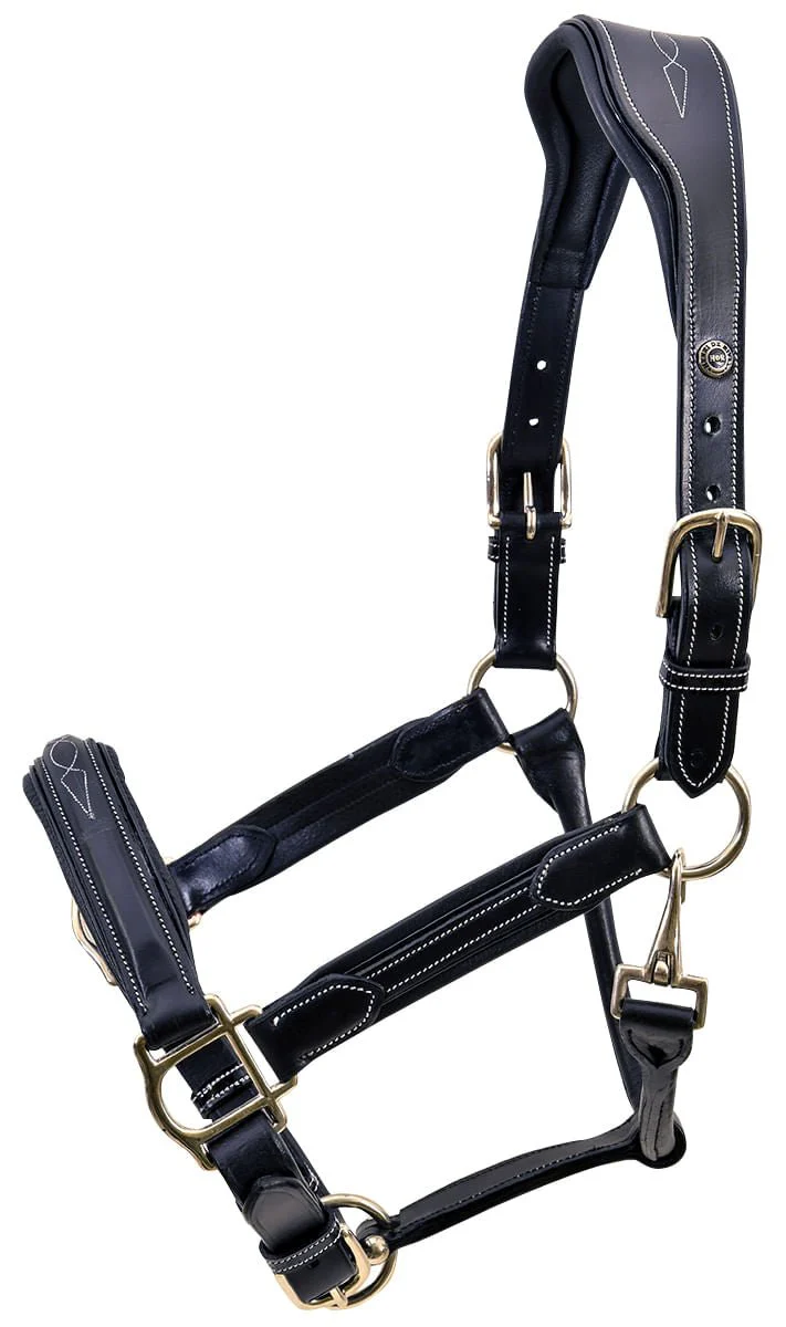 HDR Stress Free Fancy Stitch Leather Halter - Pet's Shop