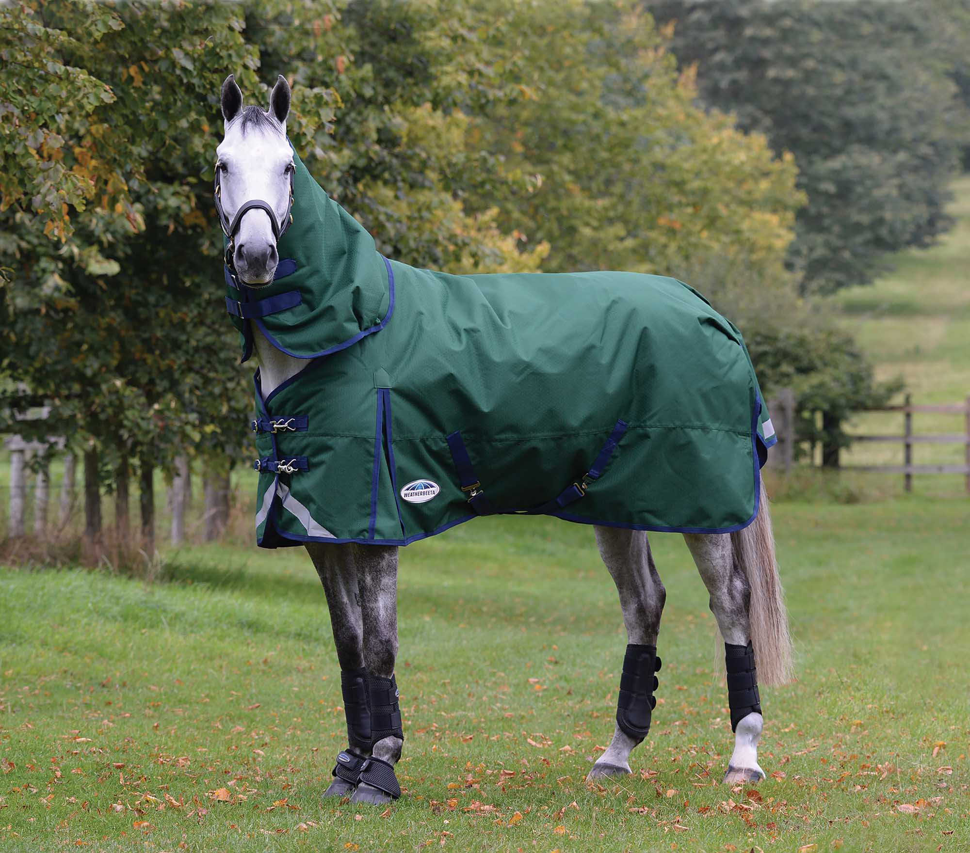 Weatherbeeta ComFITec Plus Dynamic II Detach-A-Neck Heavy Turnout Blanket for Horses - Pet's Shop