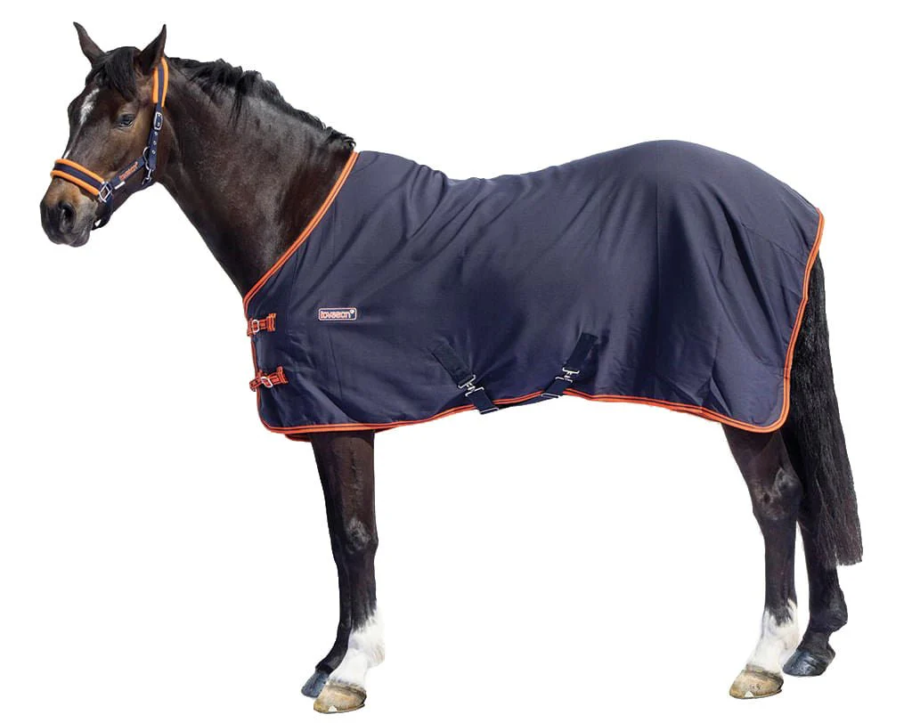 Loveson Stable Sheets, Navy/Navy/Orange - Pet's Shop