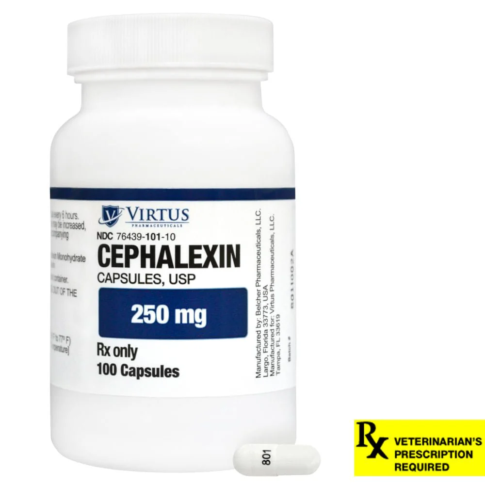 Rx Cephalexin (Generic) Capsules for Dogs & Cats - Pet's Shop
