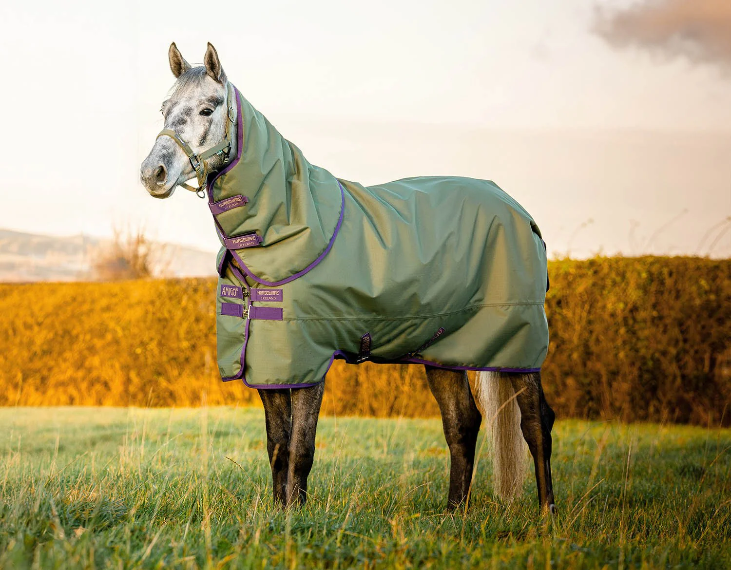 AMIGO Hero Ripstop Plus Medium Weight Turnout Blanket - Pet's Shop