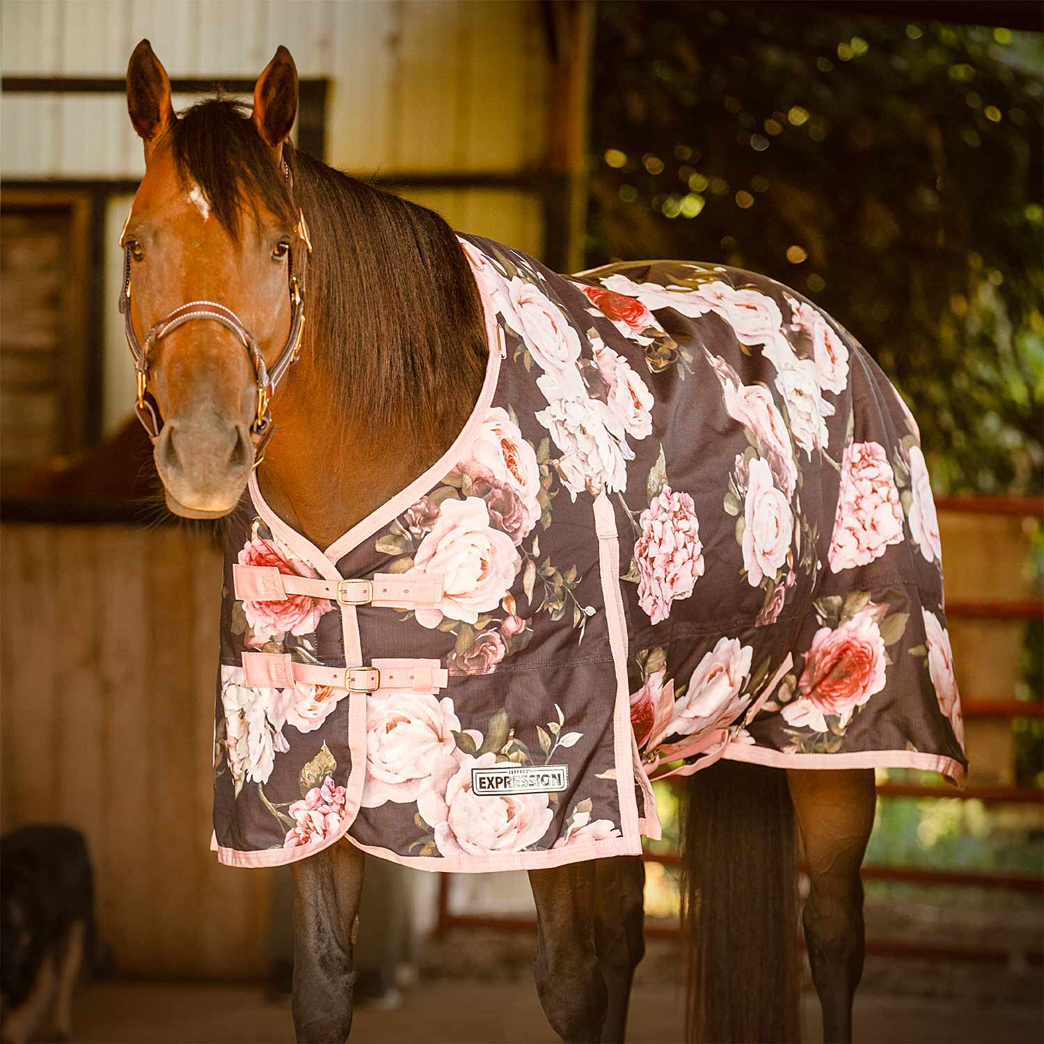Expression 1200 Denier Standard Neck Turnout Blanket, 240 Gram, Rose Garden - Pet's Shop