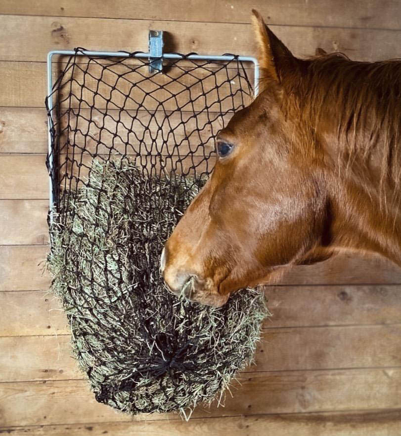 Hay Chix Free-Up Wall Mount Hay Feeder - Pet's Shop
