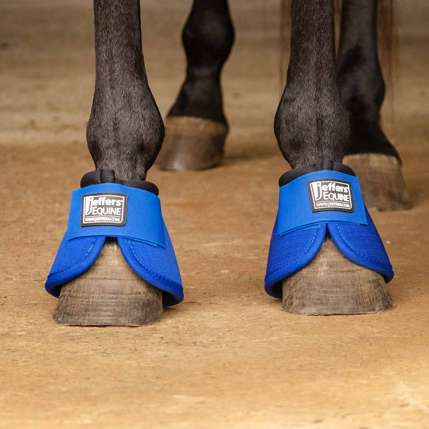 Bell Boots for Horses - Pet's Shop
