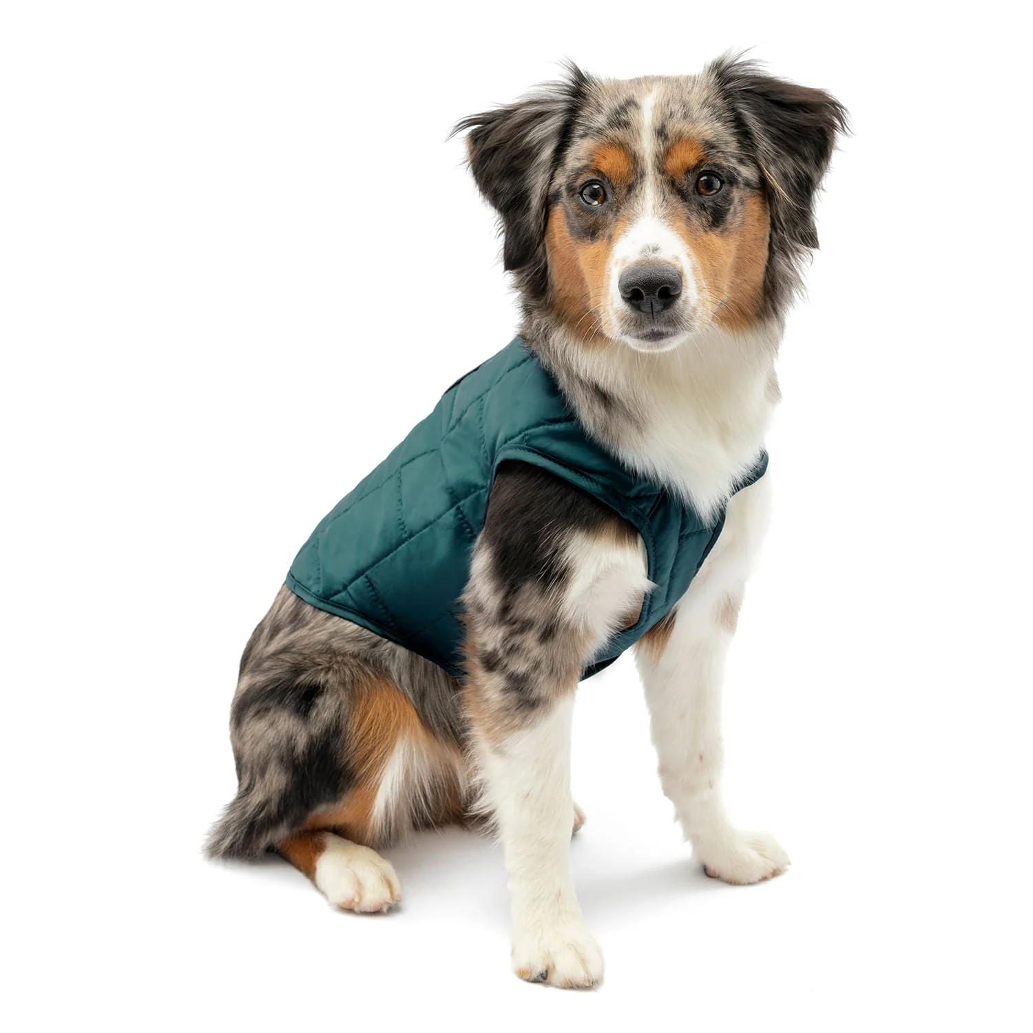 Kurgo Reversible Loft Jacket - Pet's Shop