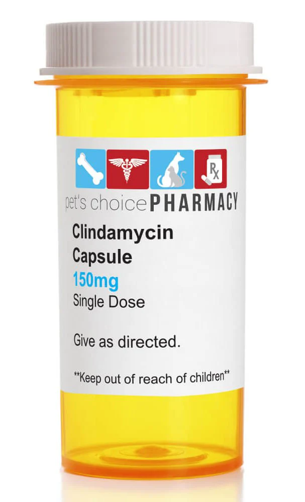 Rx Clindamycin HCl (Generic) Capsules for Dogs - Pet's Shop