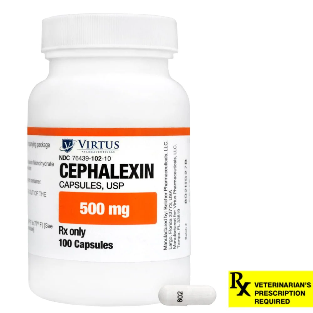 Rx Cephalexin (Generic) Capsules for Dogs & Cats - Pet's Shop